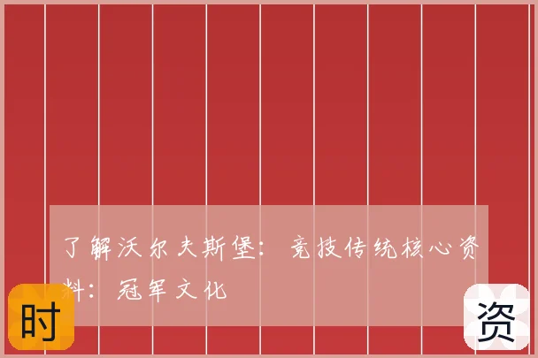 了解沃尔夫斯堡:竞技传统核心资料:冠军文化
